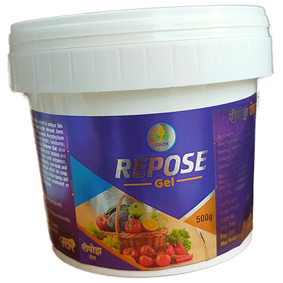 repose gel